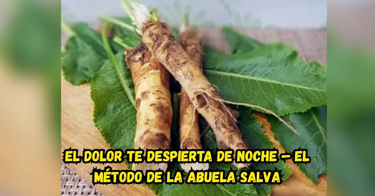 Persona madura realizando ejercicio de fortalecimiento